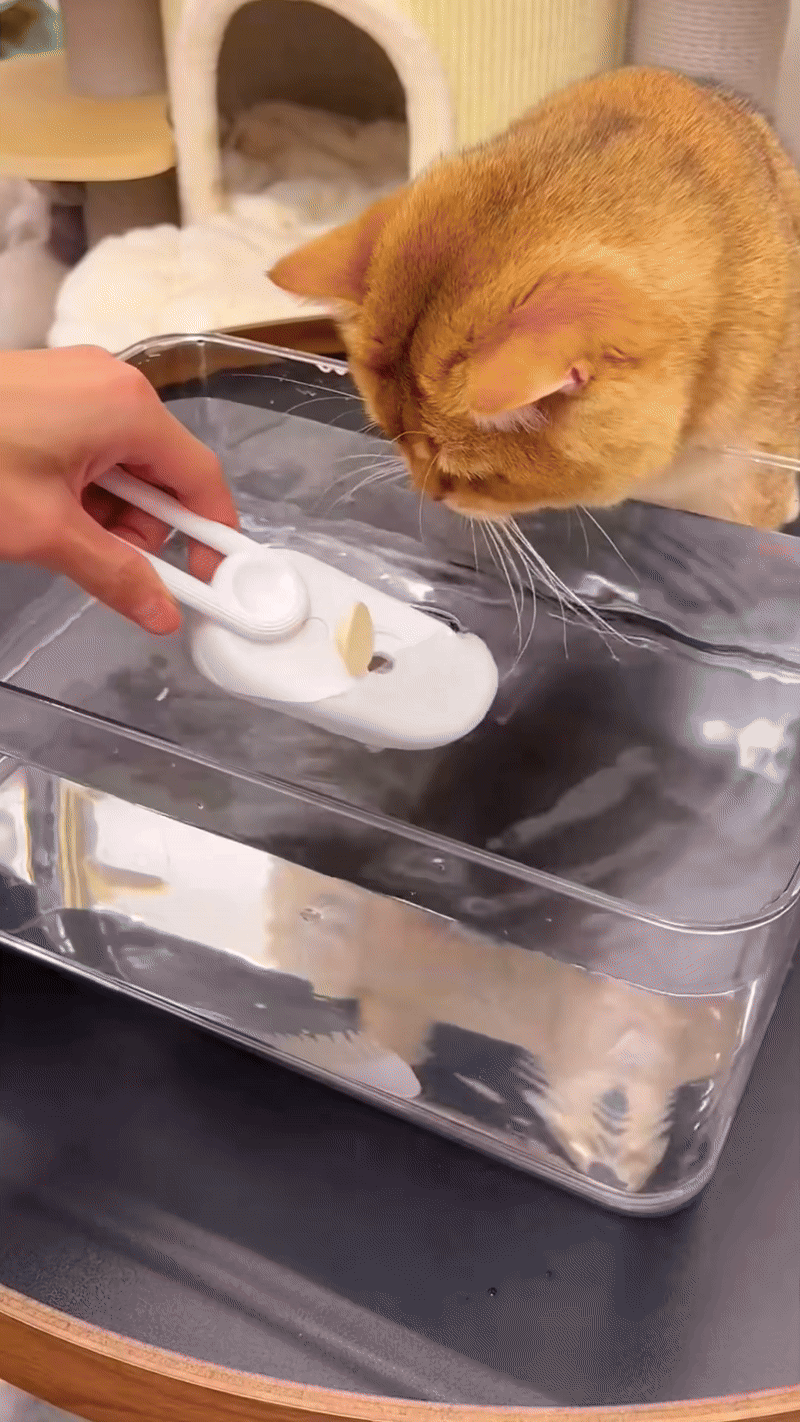 PET CLEAN PRO
